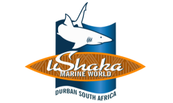 Ushaka Marine World